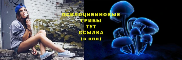 эйфоретик Бронницы
