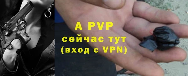 ECSTASY Верея