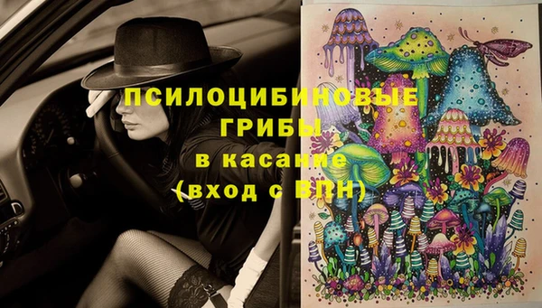 тгк Бородино